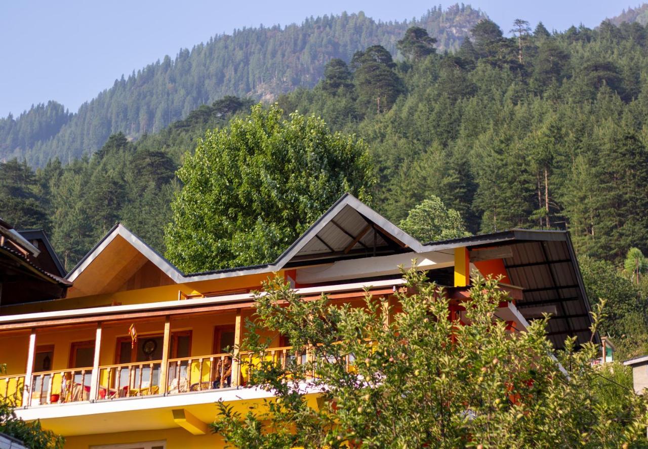 The Homstel Manali Albergue Exterior foto