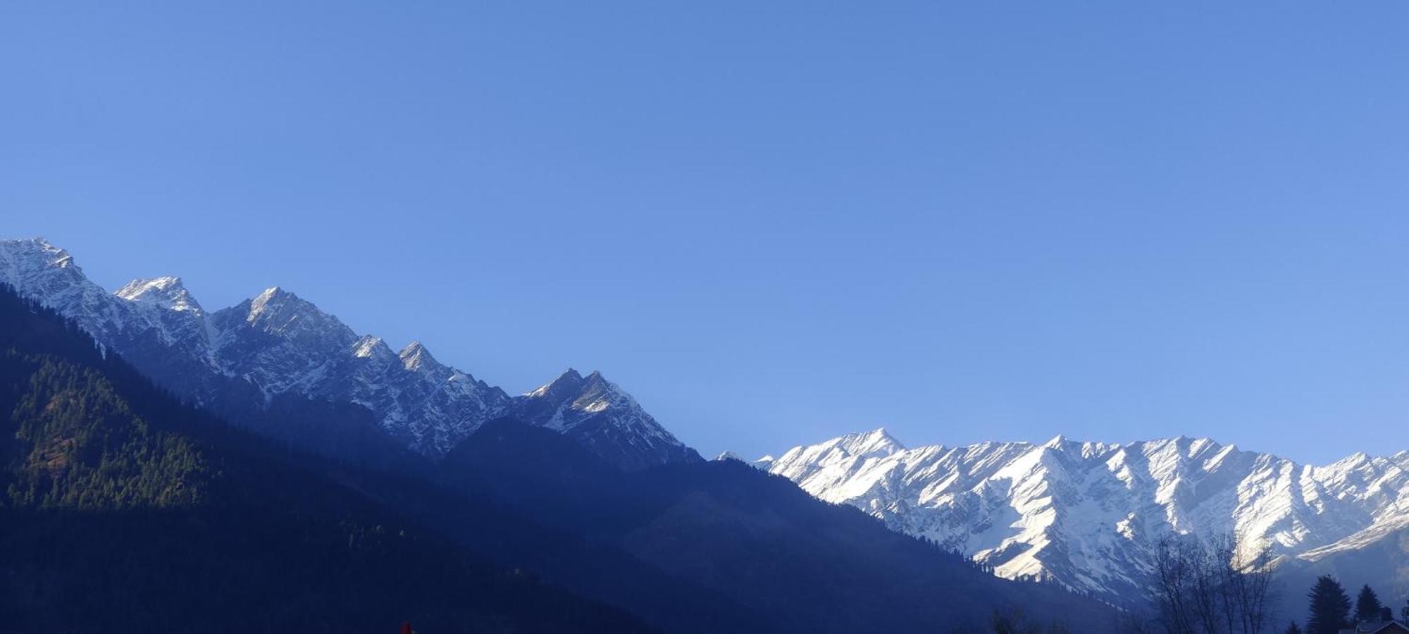 The Homstel Manali Albergue Exterior foto