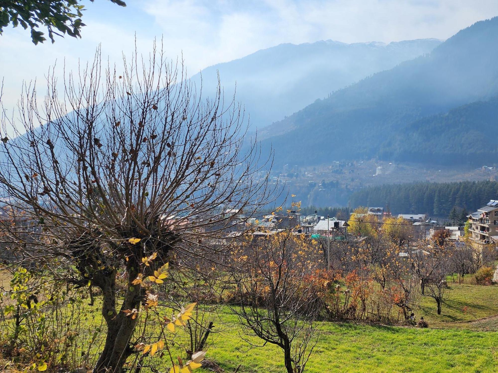 The Homstel Manali Albergue Exterior foto