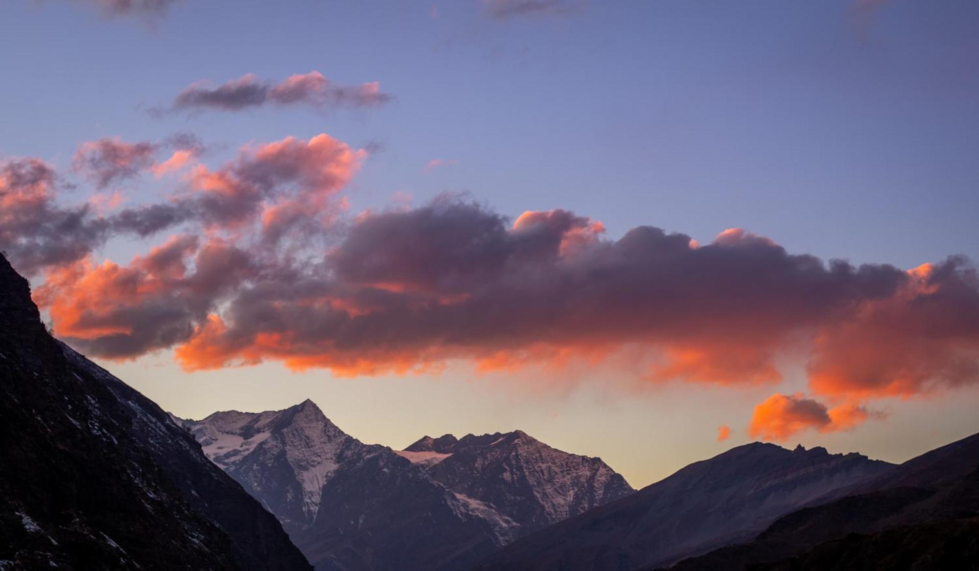 The Homstel Manali Albergue Exterior foto