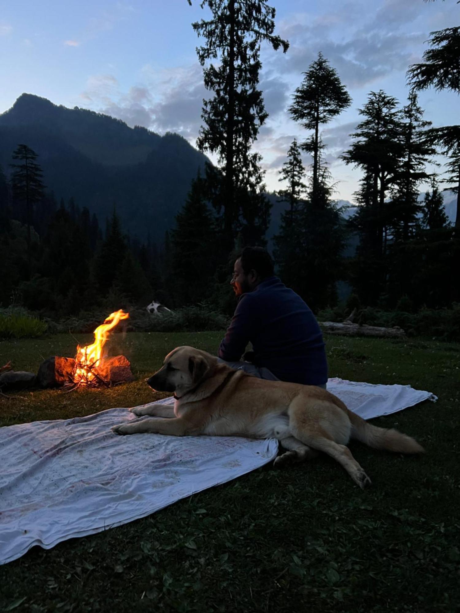 The Homstel Manali Albergue Exterior foto