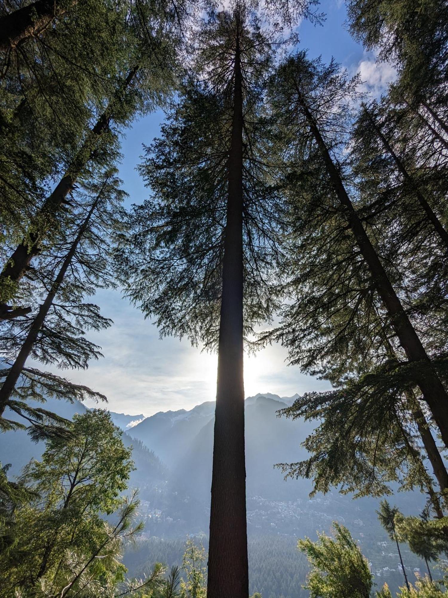 The Homstel Manali Albergue Exterior foto